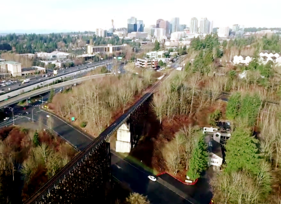 From a King County video (watch below)