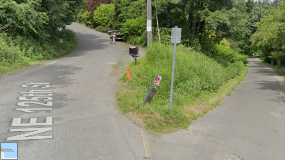 Photo showing a steep road to the left and a flat trail to the right. A person is walking their bike up the hill.