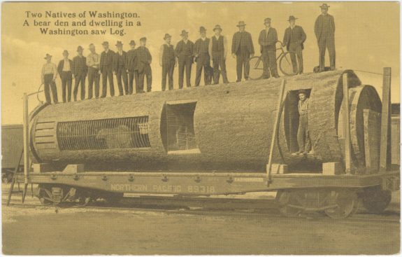 16 men standing on top of a log resting on a railroad flatcar, along with a dog and a bicycle. The train car is labeled "Northern Pacific 69318". A bear den is visible inside the log, and 2 openings. A man stands inside the opening to the right.