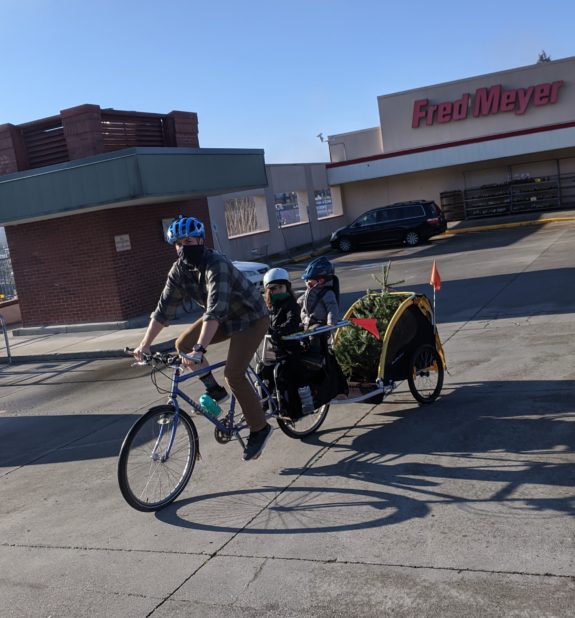A person biking with two kids on a longtail cargo bike plus a tree in a burley trailer. 